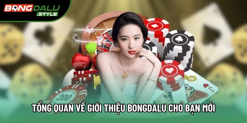 Tổng quan về giới thiệu bongdalu cho bạn mới